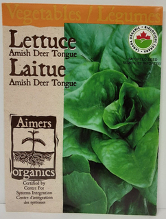 SEEDS - Lettuce Amish Deer Tongue